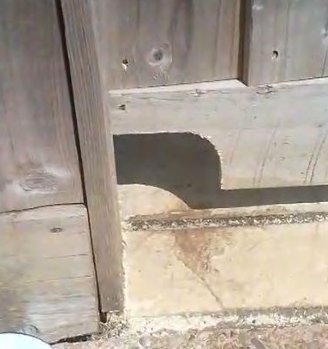 A hedgehog sized gap cut into the base of a wooden fence panel