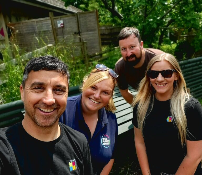 Four Cornerstone colleagues smiling together while volunteering outdoors