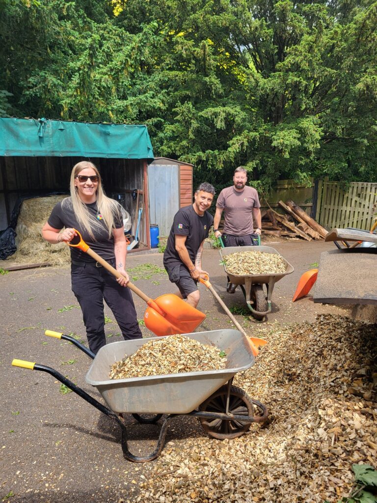 A colleague shovelling woodchip into a wheelbarrow while others work behind