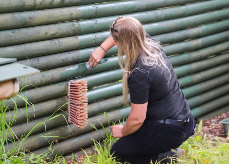 A volunteer painting a timber fence with a brush